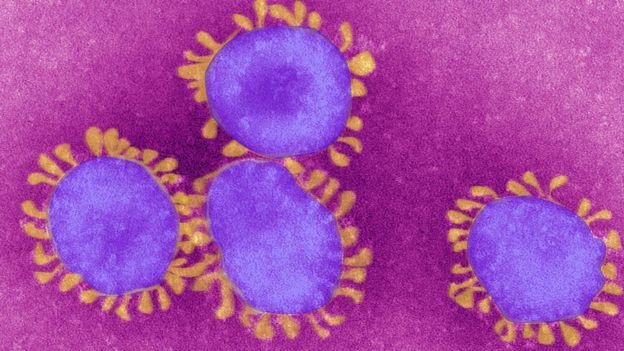Coronavirus bajo el microscopio. Fuente: Getty Images